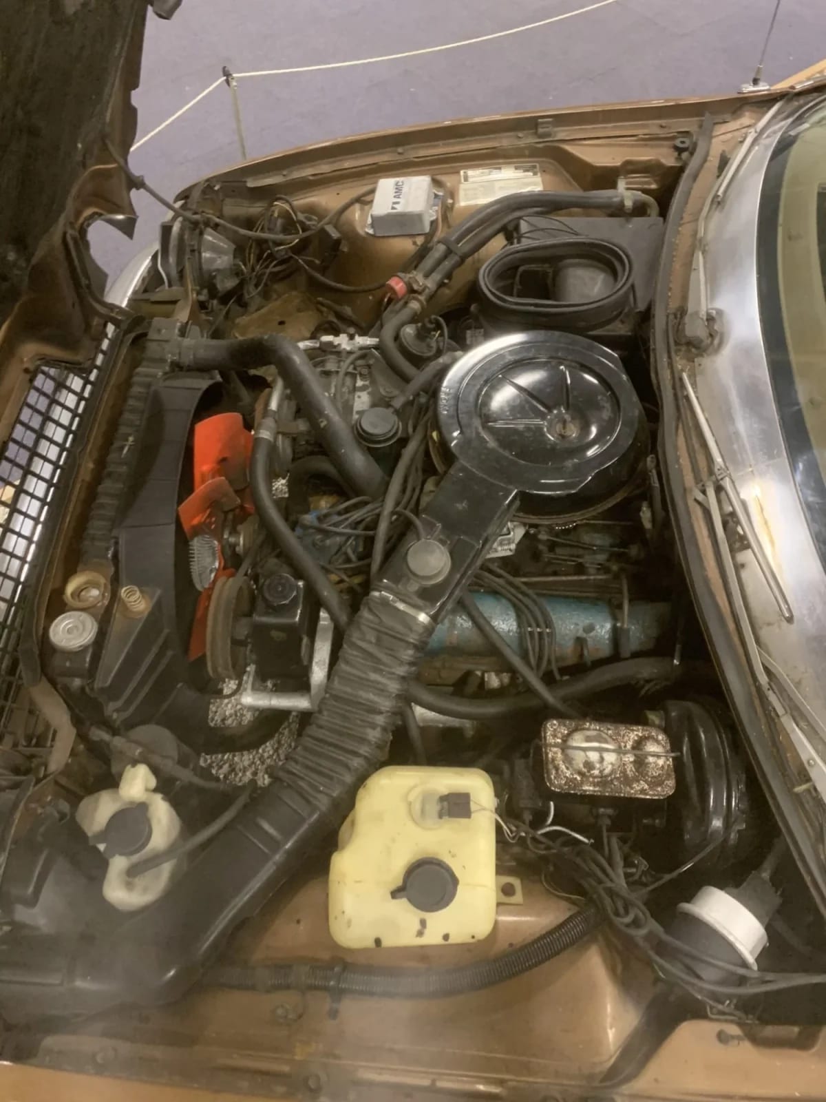 AMC Pacer 1979 V8 Bruin - foto 3